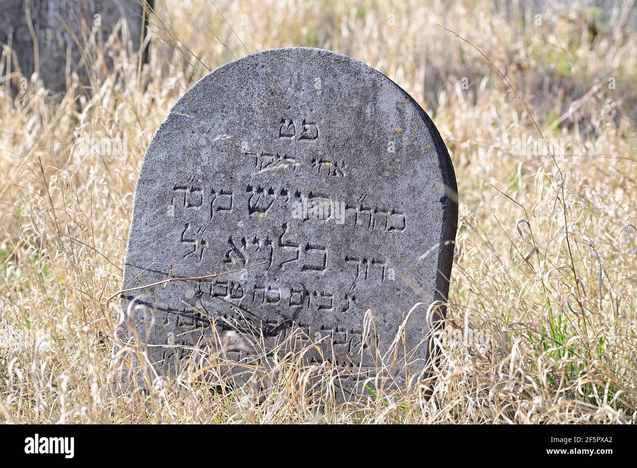 Vienna, Austria. The Jewish department at the central cemetery in Vienna Stock Photo