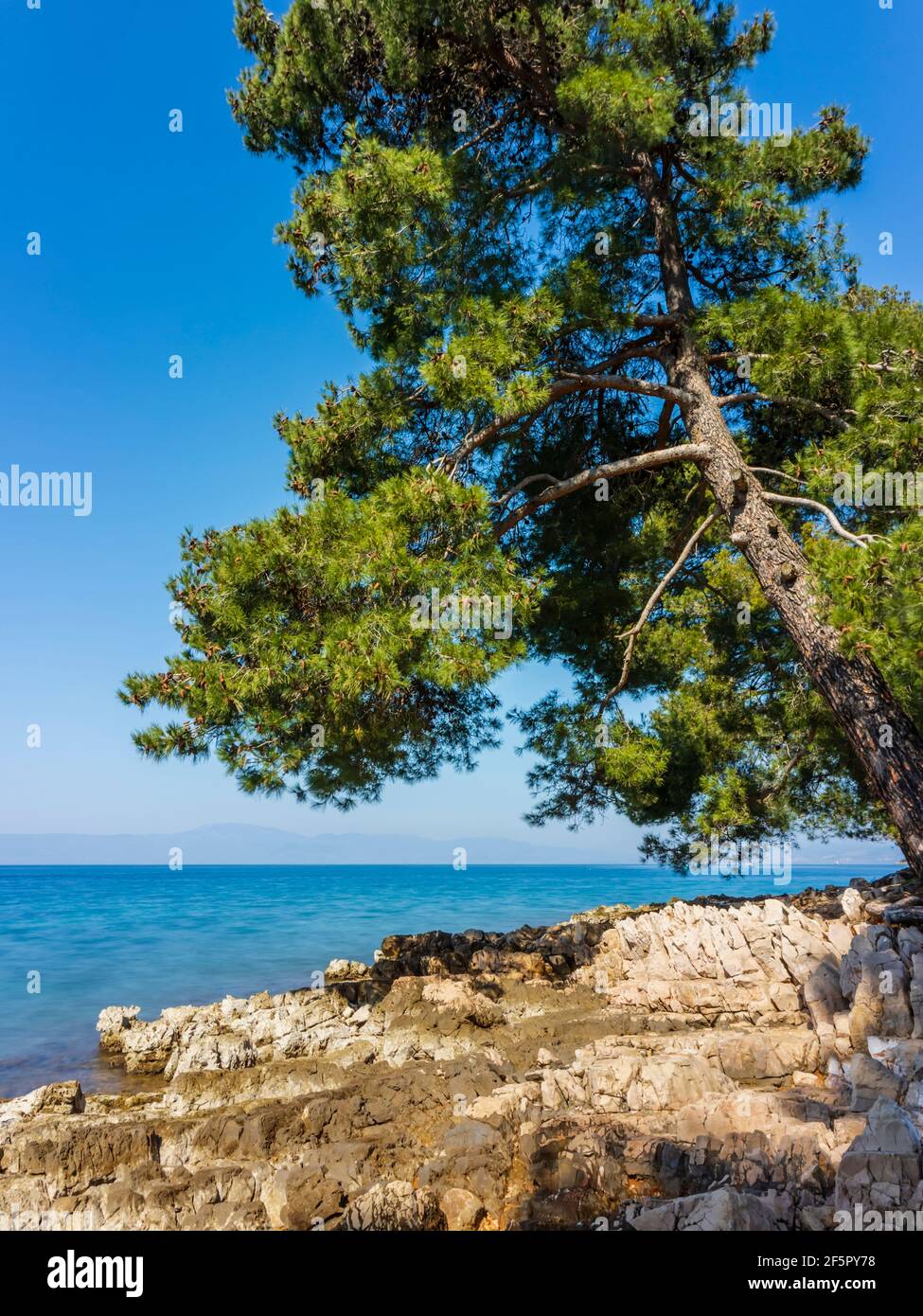Coastline seaside Adriatic sea in Croatia Europe near Malinska on island Krk Stock Photo