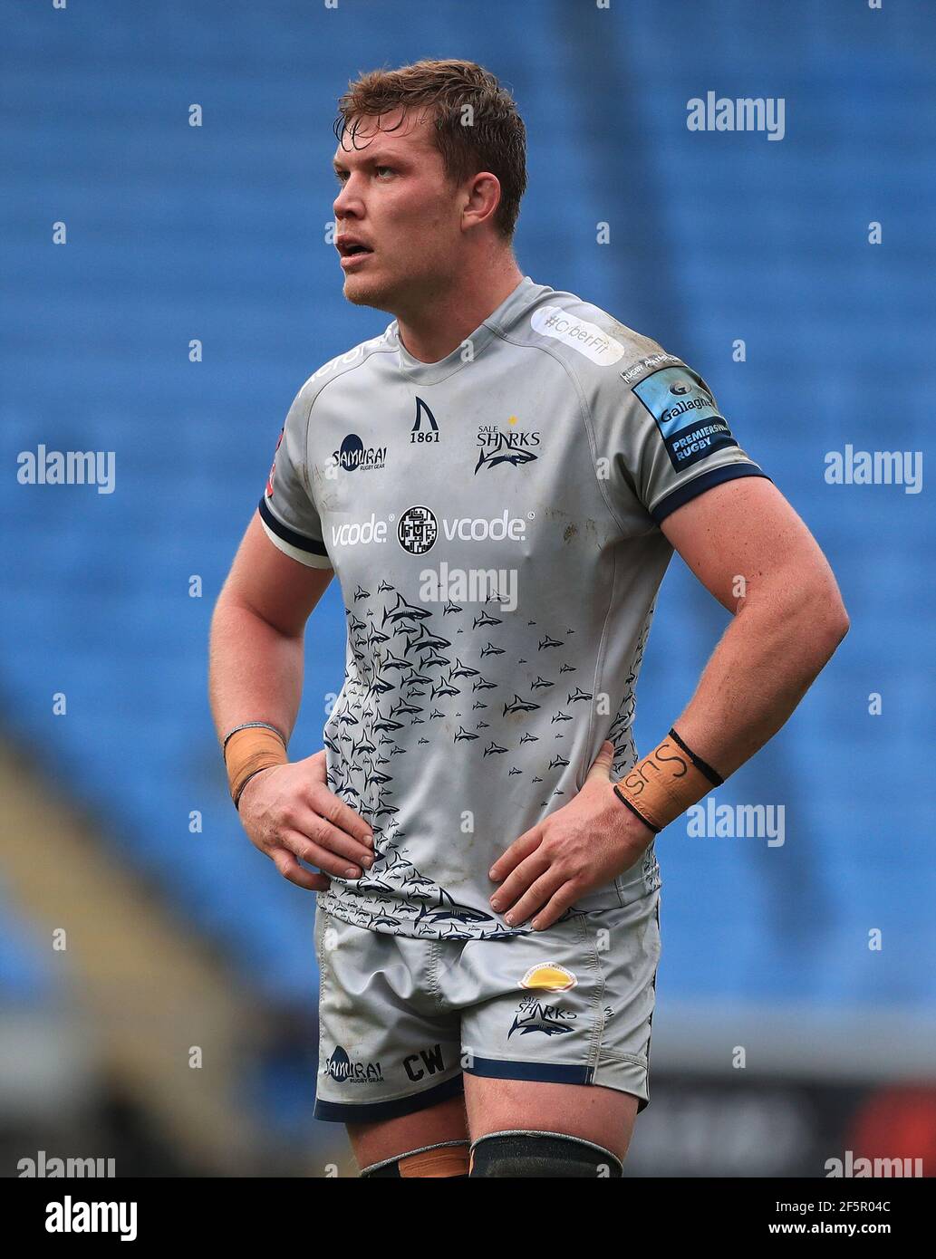 Cobus Wiese poses for a portrait during the Sale Sharks squad photo News  Photo - Getty Images