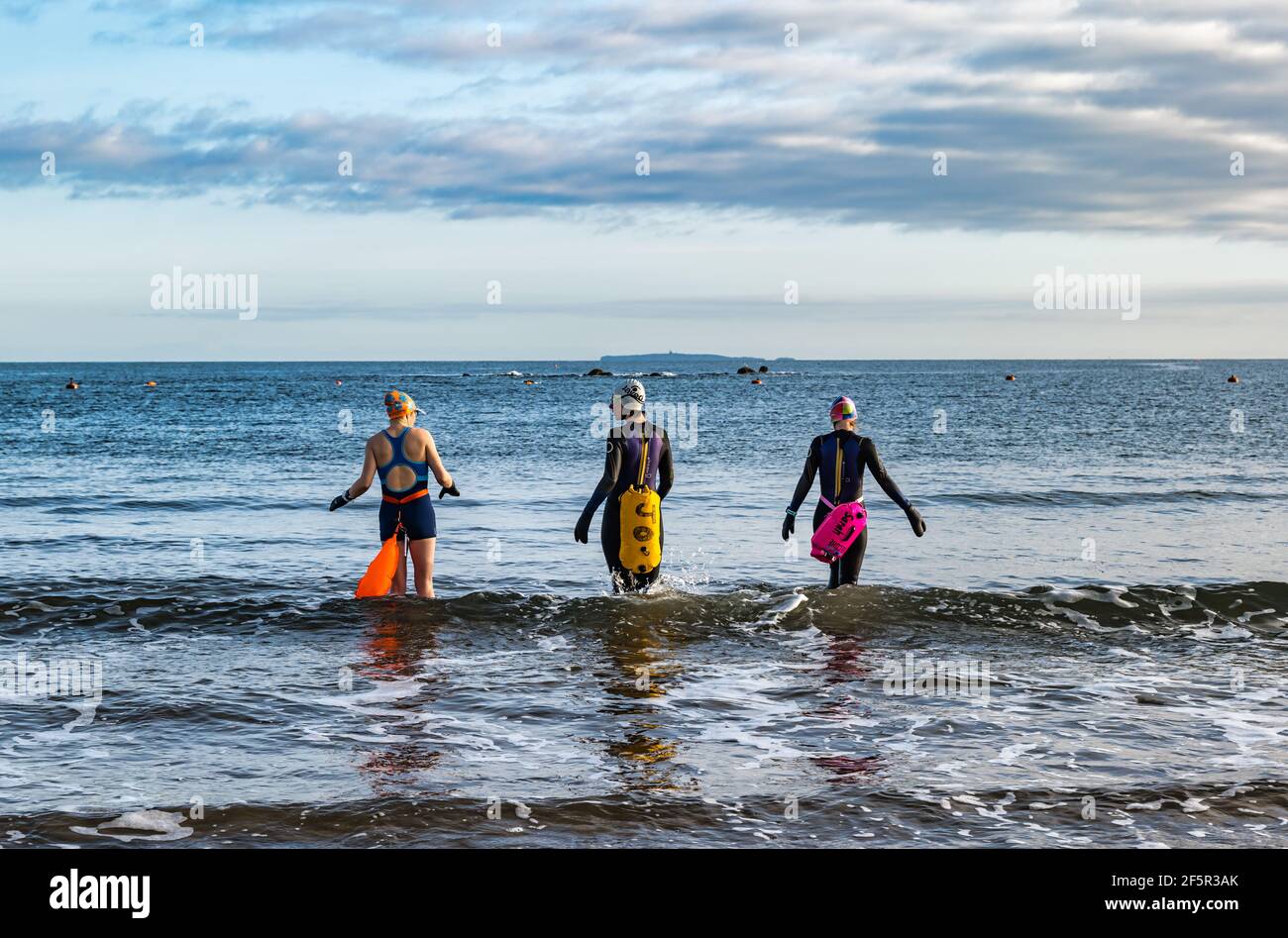 Wild or open water women swimmers wearing wetsuits with buoyancy floats enter the Firth of Forth