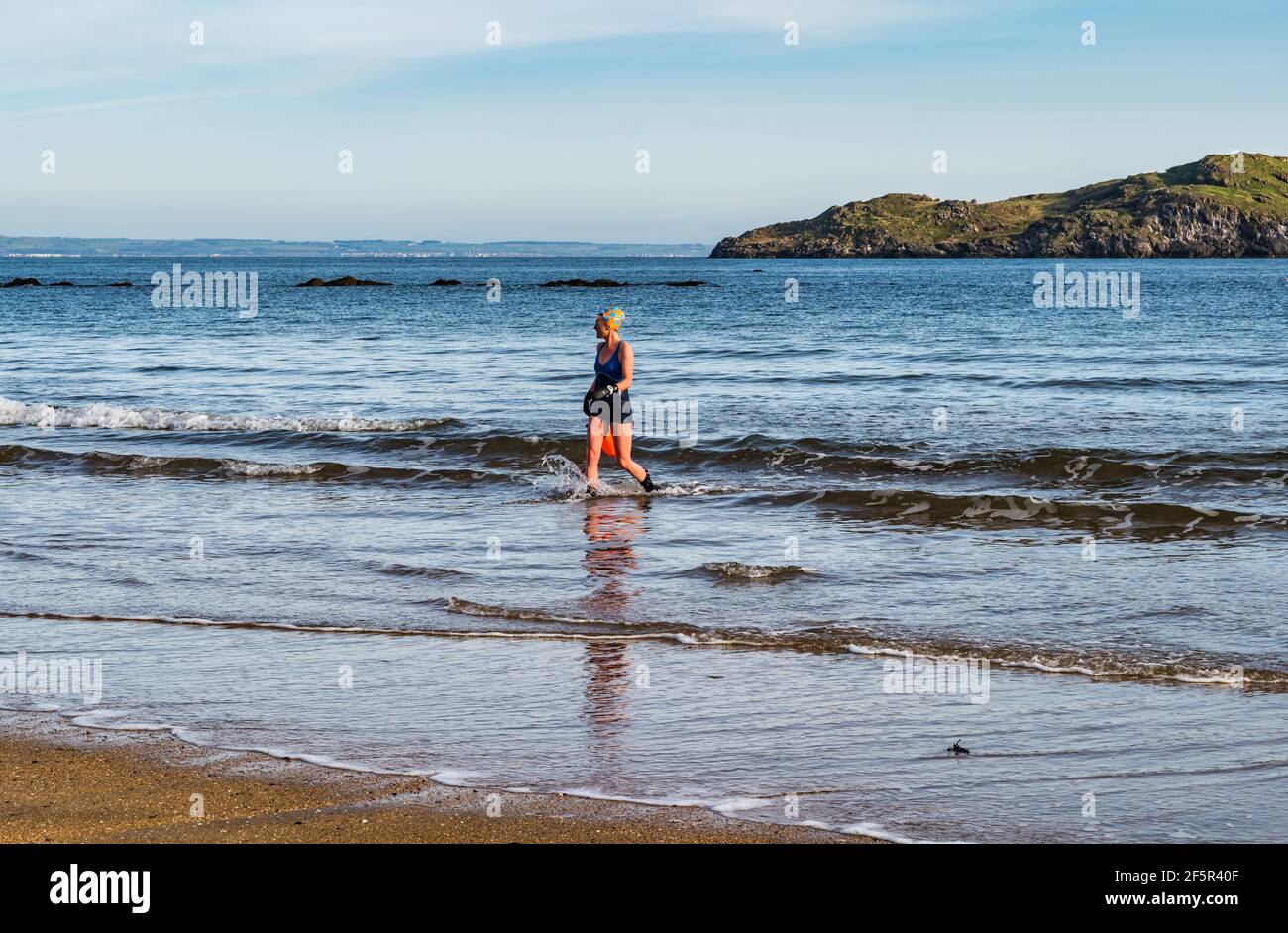 Wild or open water woman swimmer wearing a swimsuit with a buoyancy aid coming out of Firth of Forth sea, North Berwick, East Lothian, Scotland, UK Stock Photo