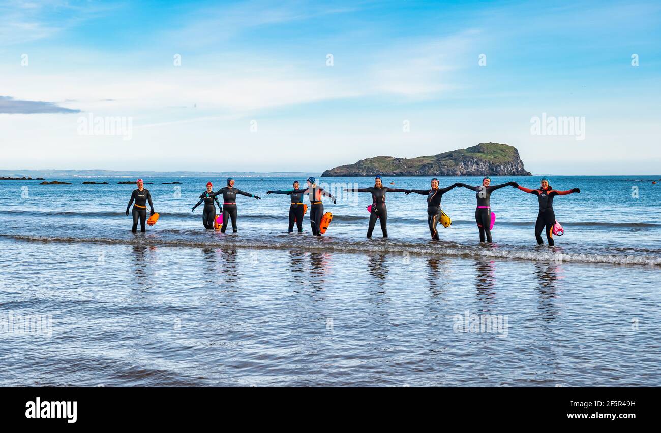 A group of wild open water women swimmers wearing wetsuits enter the sea in a line, West Bay, North Berwick, East Lothian, Scotland, UK Stock Photo