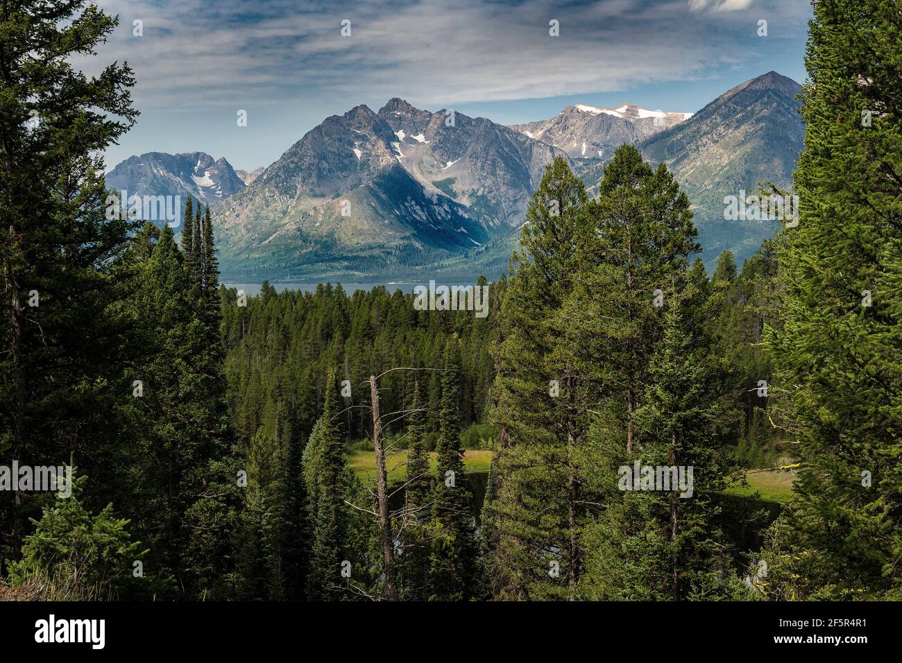 Scenic forest and mountains in Yellowstone National Park. Stock Photo