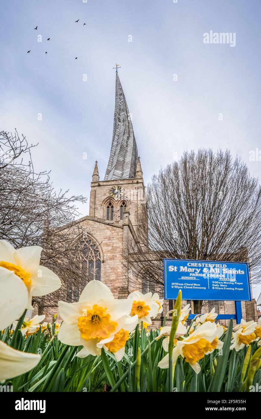 The Crooked Spire Church of St Marys and all saint Chesterfield market town Derbyshire spring summer day with famous twisted ancient parish steeple Stock Photo