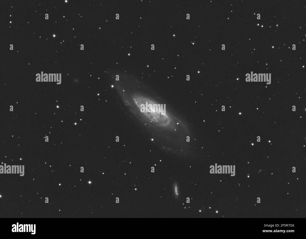 Messier 106 galaxy in luminance, located in Canes Venatici constellation, taken with my telescope. Stock Photo