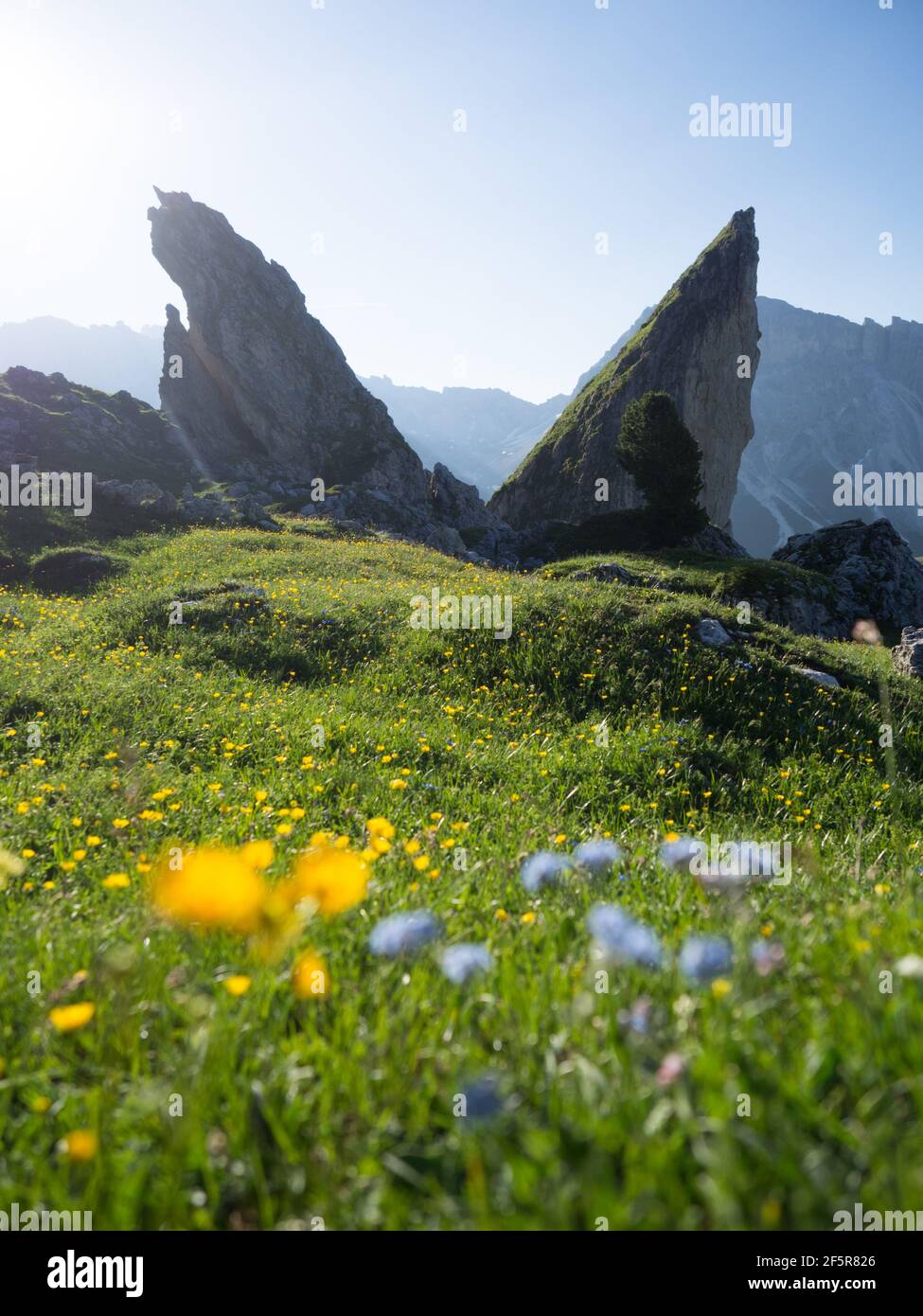 Wandern bei der Seceda in Suedtirol Italien - Seceda in the Dolomites in Italy Stock Photo