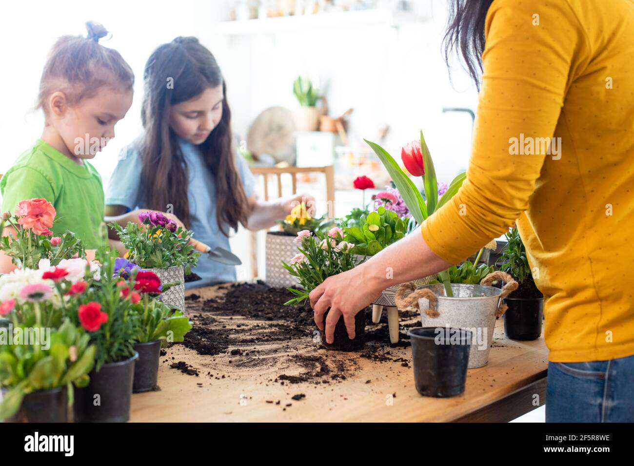 Mother teaches kids to take care of flowers and plants Stock Photo Alamy