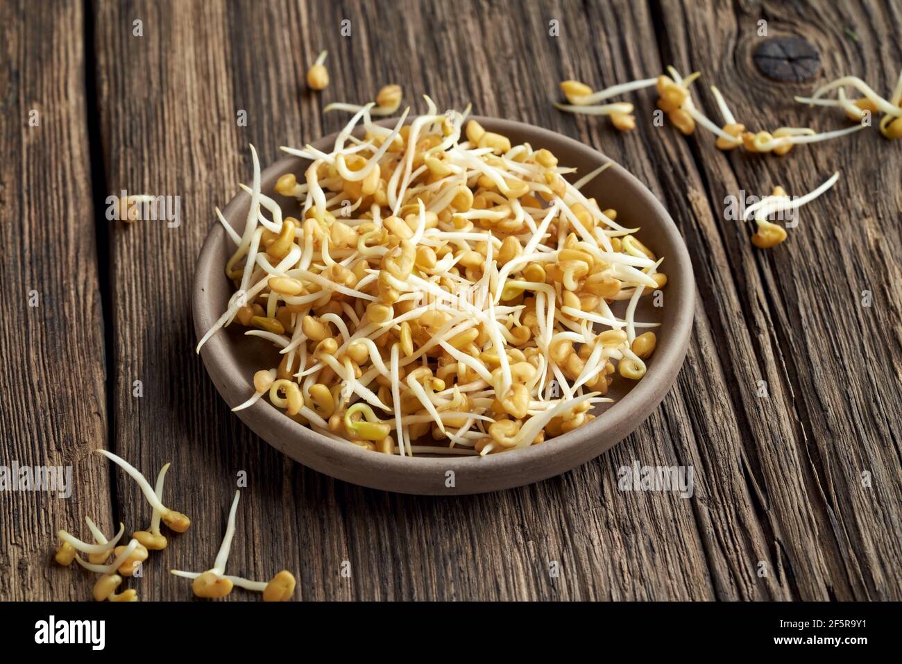 Sprouted fenugreek seeds in a bowl on a table Stock Photo