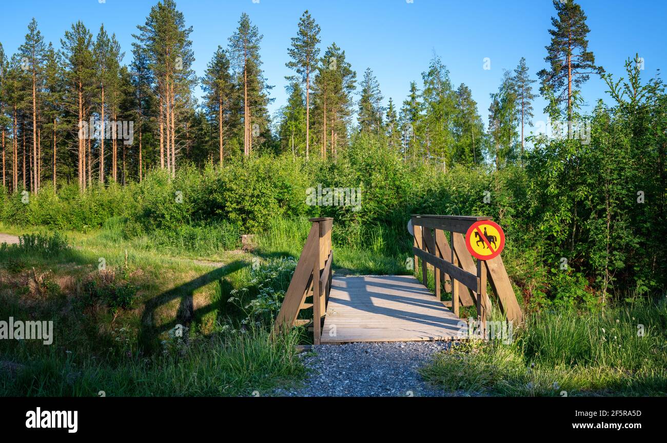 Small wooden pedestrian and bicycle bridge in forest. No horses allowed