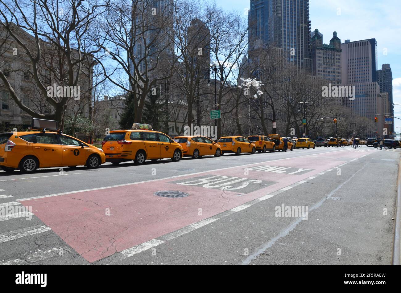 Taxi driver new york hires stock photography and images Alamy