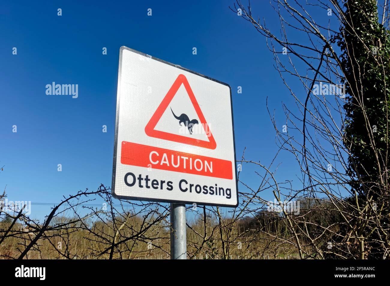 Warminster, Wiltshire, UK - February 28 2021: A caution Otters Crossing Sign at Smallbrook Meadows Nature Reserve in Warminster, Wiltshire, England Stock Photo