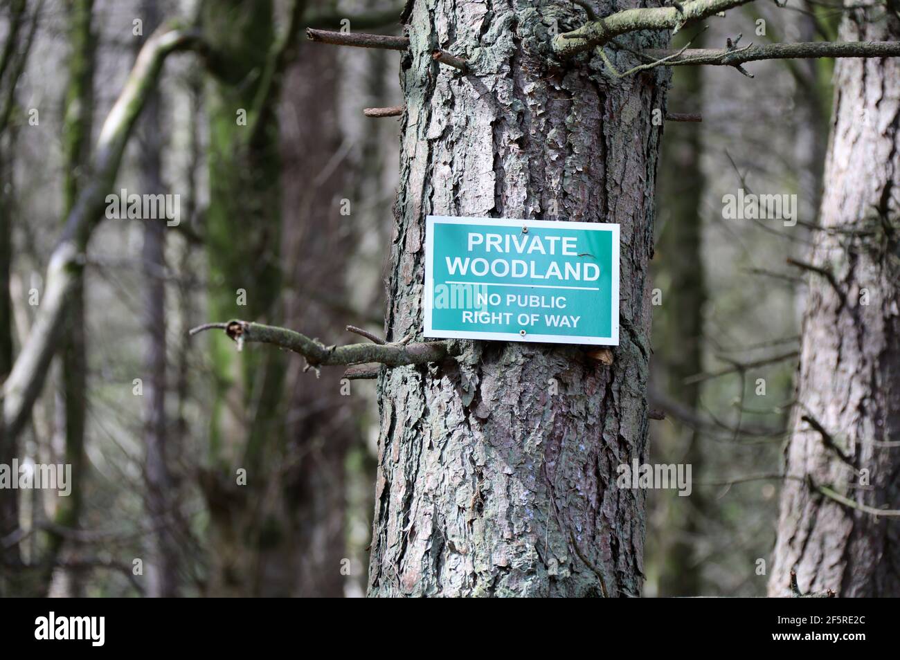Private Woodland with No Public Right of Way sign in Britain Stock Photo