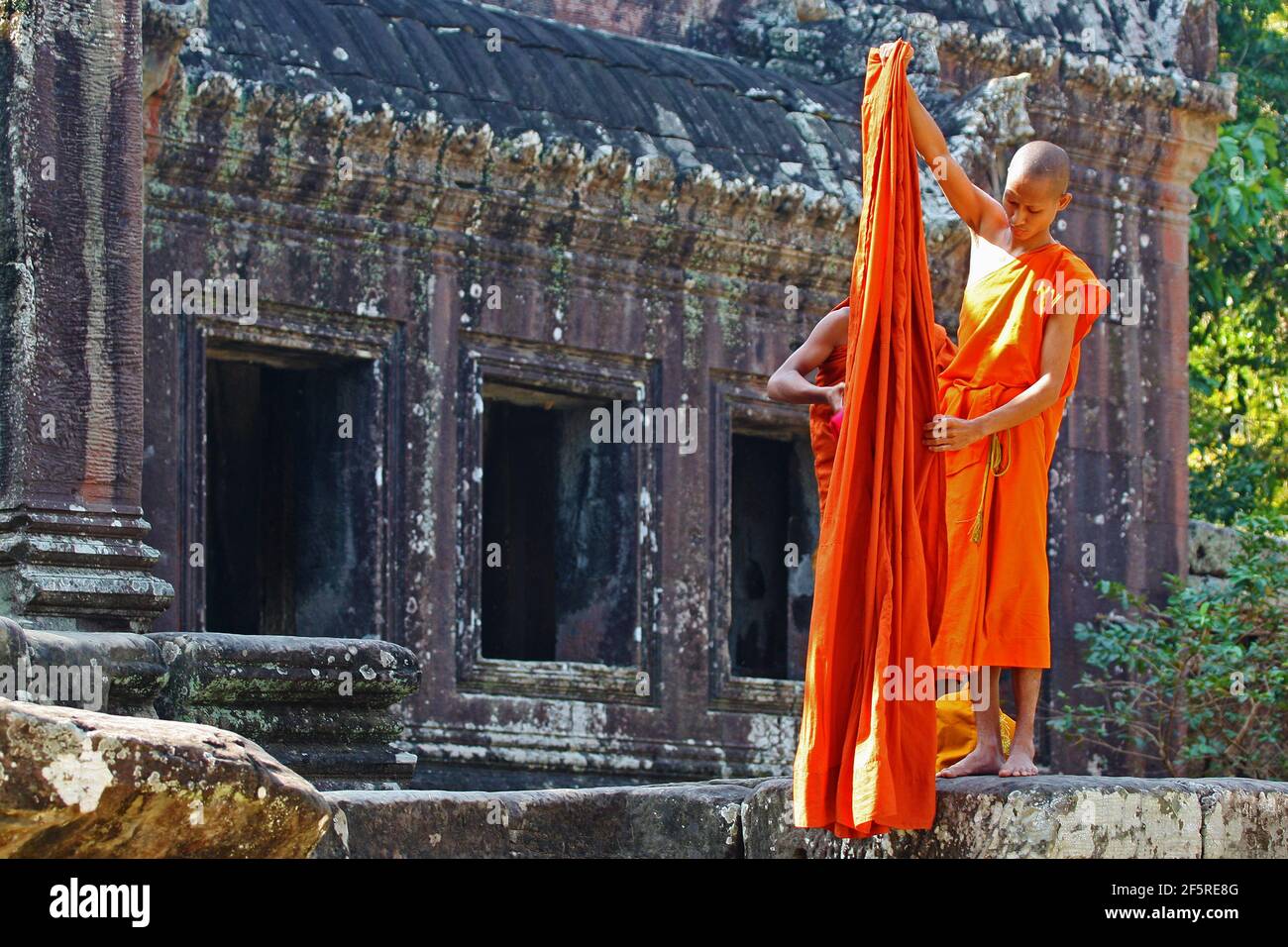 Buddhist monk studying hi-res stock photography and images - Alamy