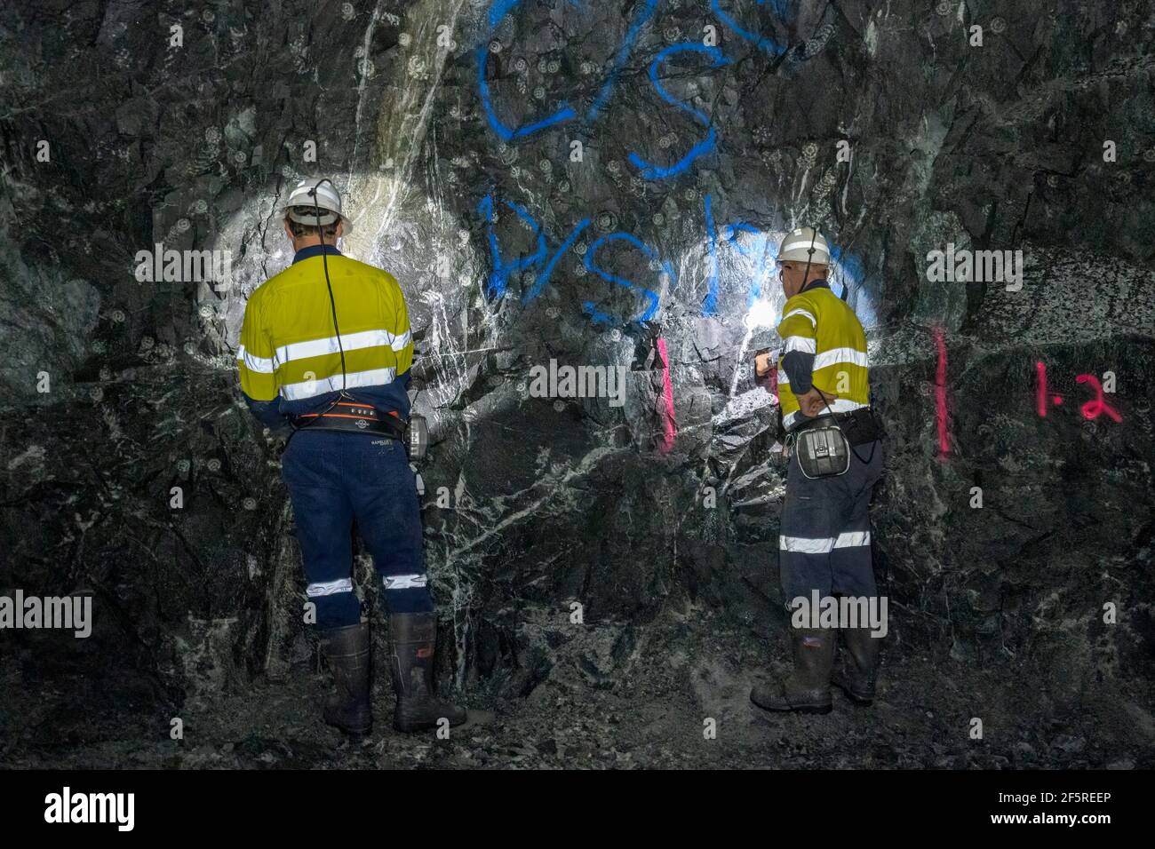 Geologist sampling ore and marking drilling instructions in underground mine shaft. Western Australia Stock Photo