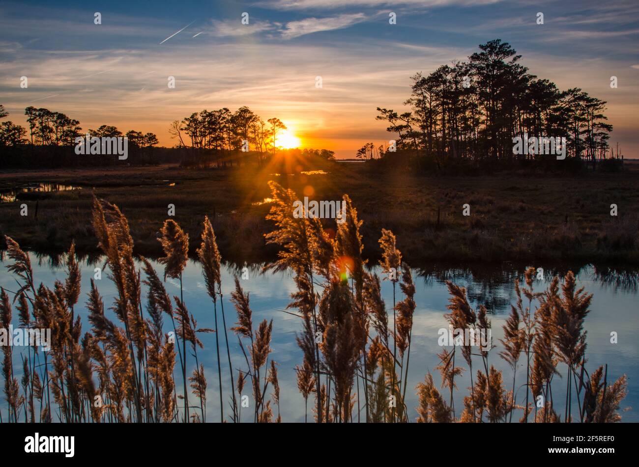 Sunset and Golden Hour in Chincoteague National Park, Virginia, USA Stock Photo Alamy