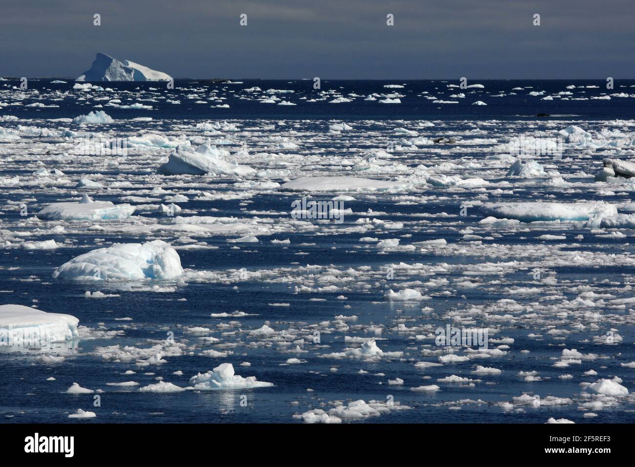 Melting ice. Floating ice blocks in Antarctica Stock Photo