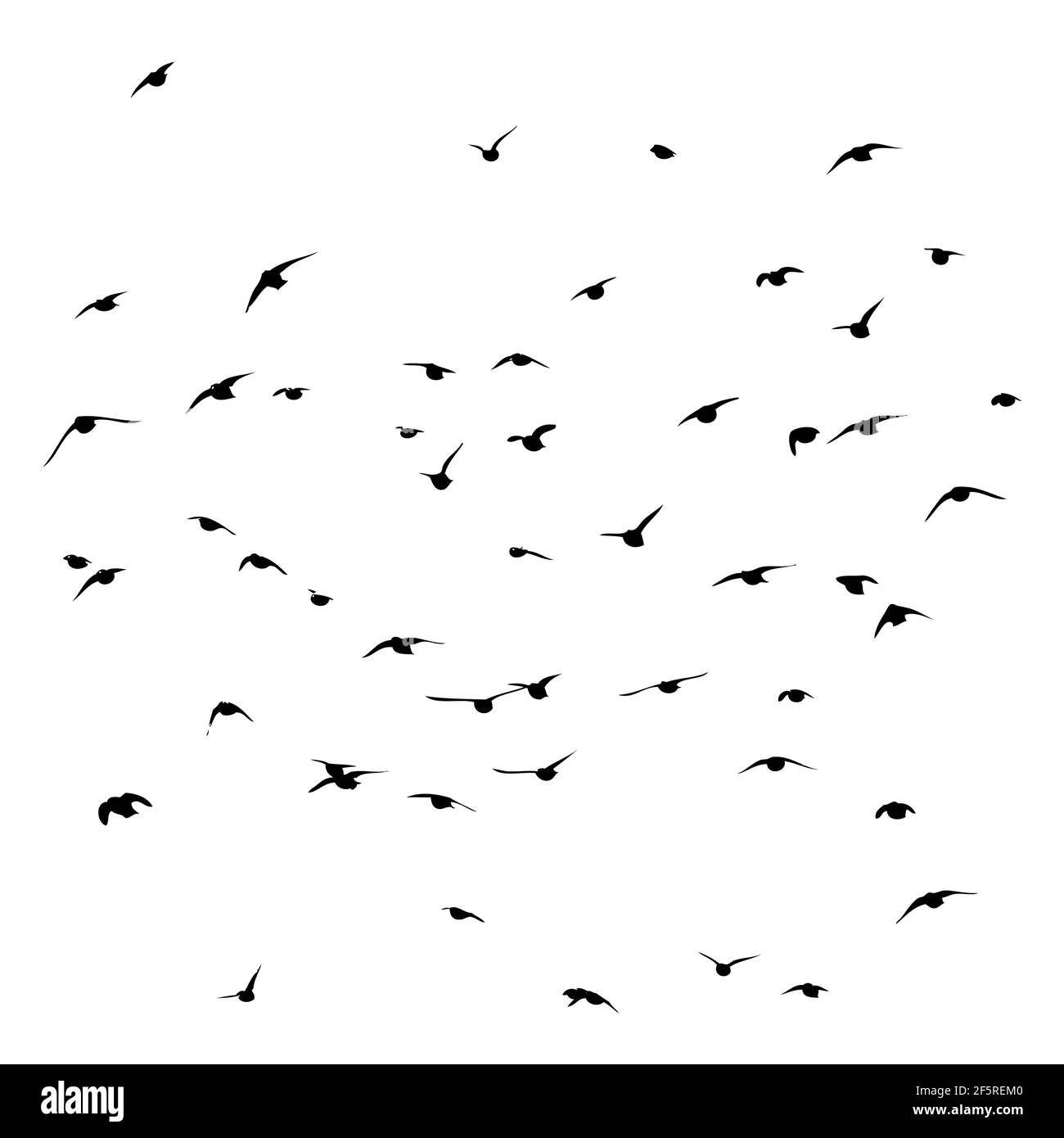 Flock birds flying dark Stock Vector Images - Alamy