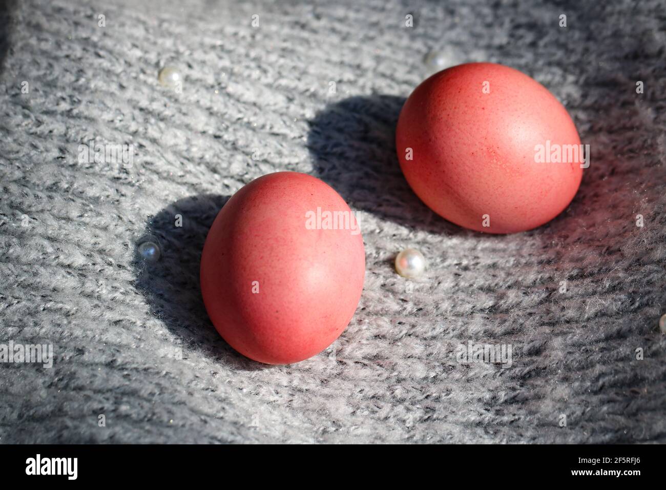 Pink Easter eggs on a gray background Stock Photo