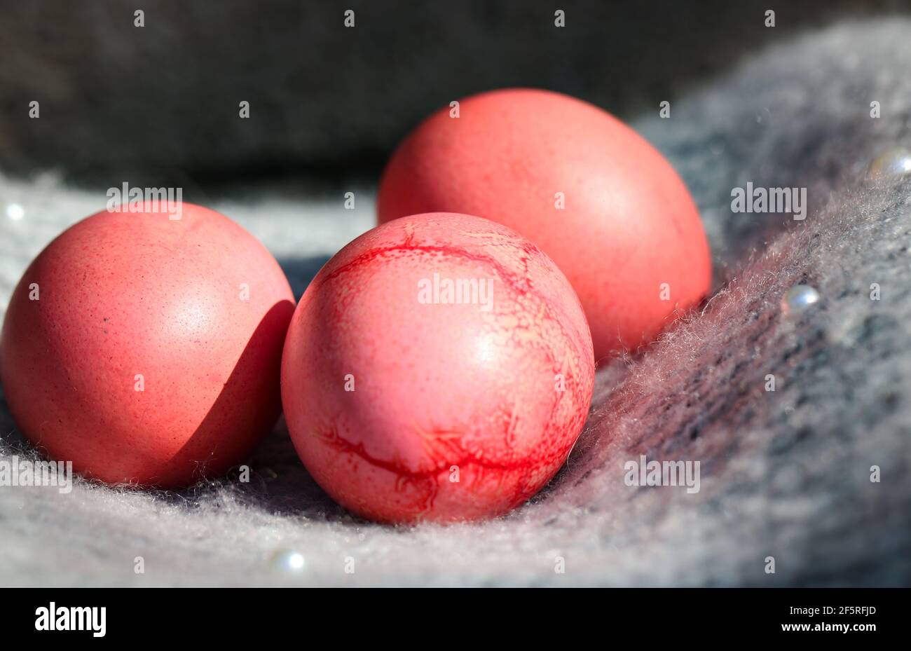 Pink Easter eggs on a gray background Stock Photo