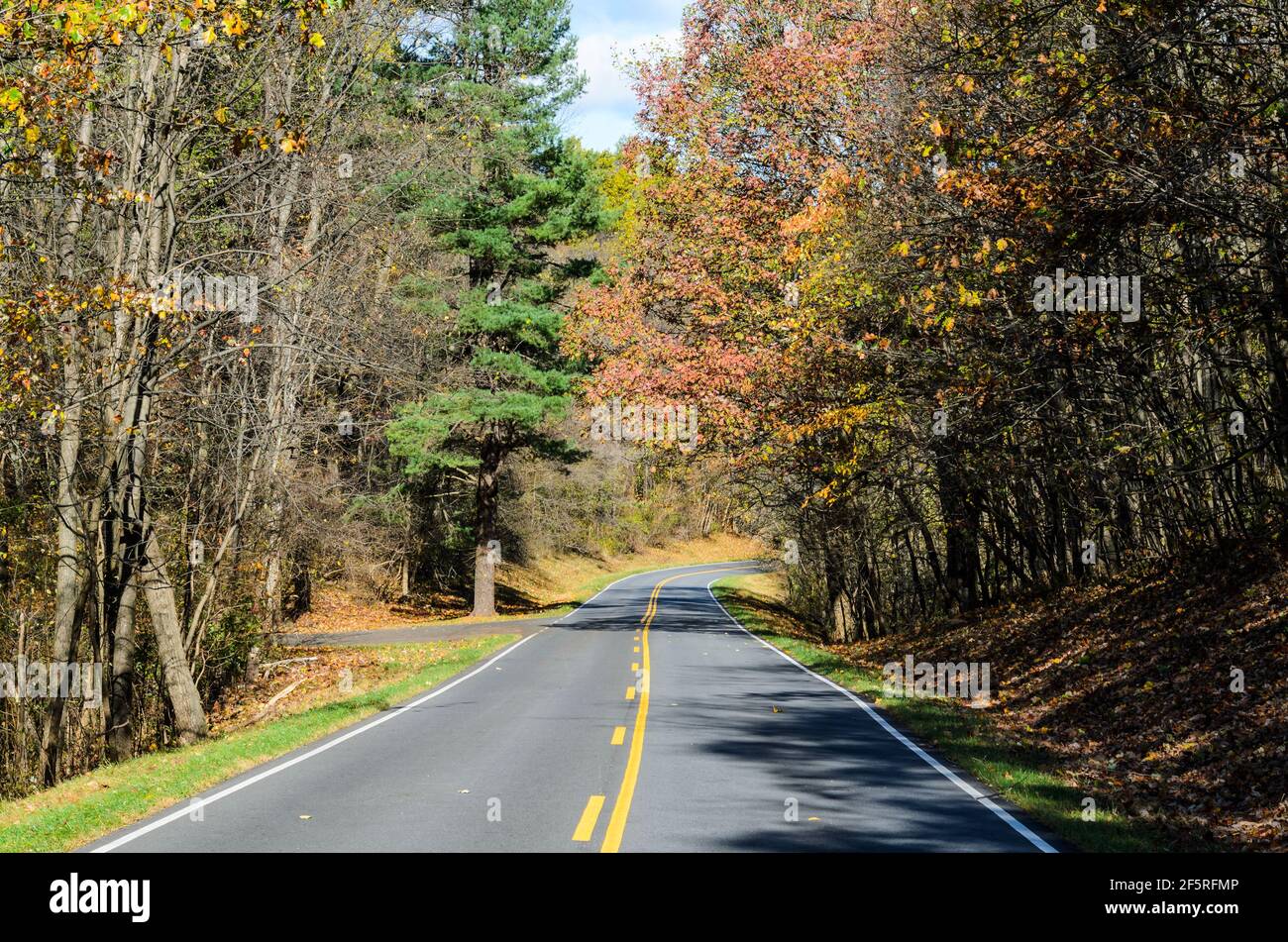 Trees lining an empty road in fall in Shenandoah National Park Stock Photo