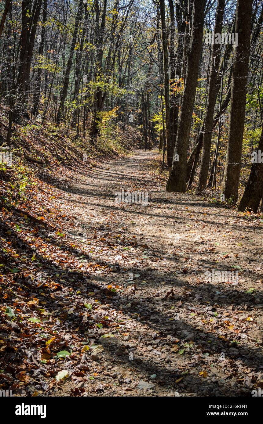 A path through the woods in Shenandoah National Park, Virginia, USA with the sun casting shadows of the trees across the path. Stock Photo