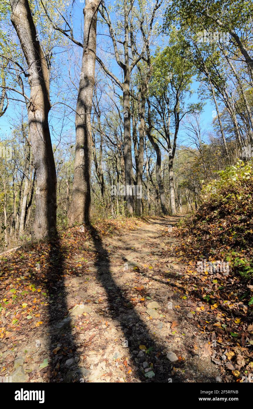 A path through the woods in Shenandoah National Park, Virginia, USA with the sun casting shadows of the trees across the path. Stock Photo