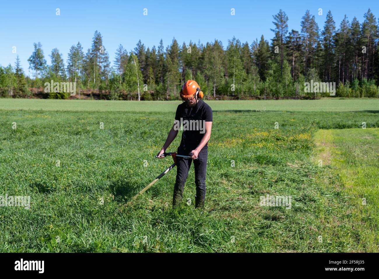 Front view at teenage boy mowing grass with handheld gasoline lawn mower. He wears eye and ear