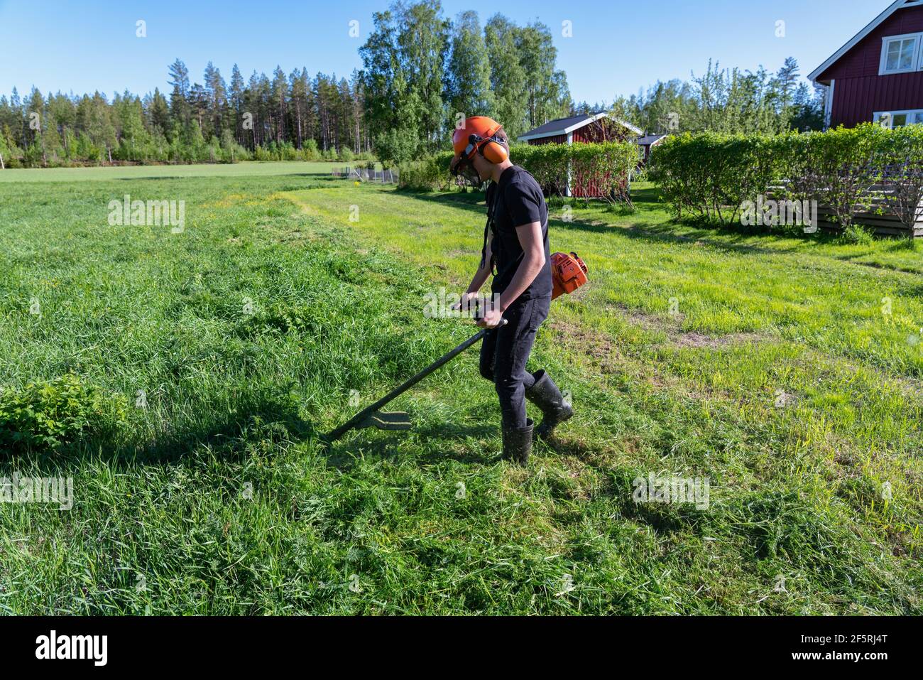 Left side view at teenage boy mowing grass with handheld gasoline lawn mower. He wears eye and ear protection headphones. Health and safety concept, w Stock Photo