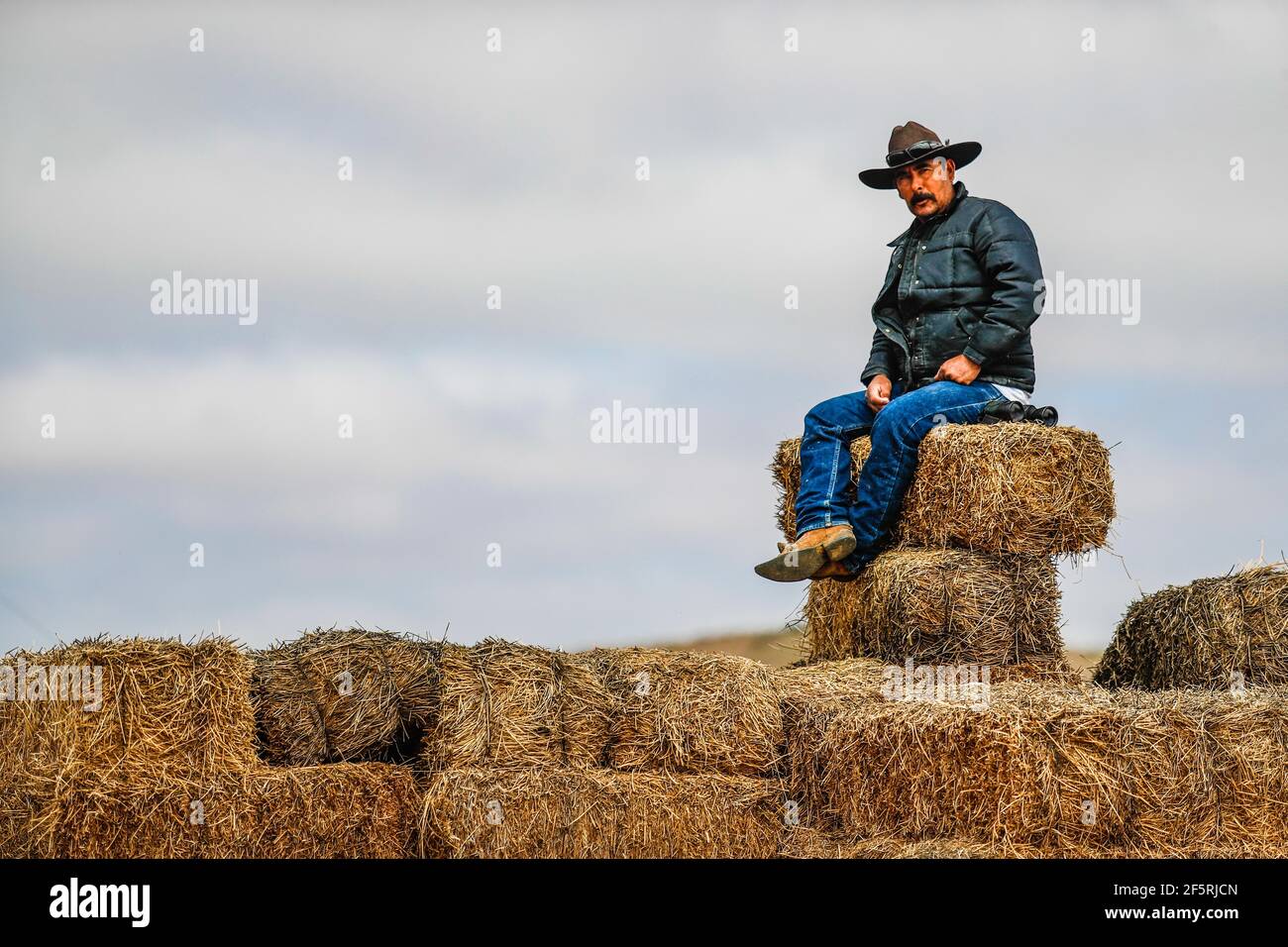 A man with vinaculars and a cowboy hat observed the horizon sitting on a  batch of bales of alfalfa on a farm or land of the El Gato ranch in the  vicinity
