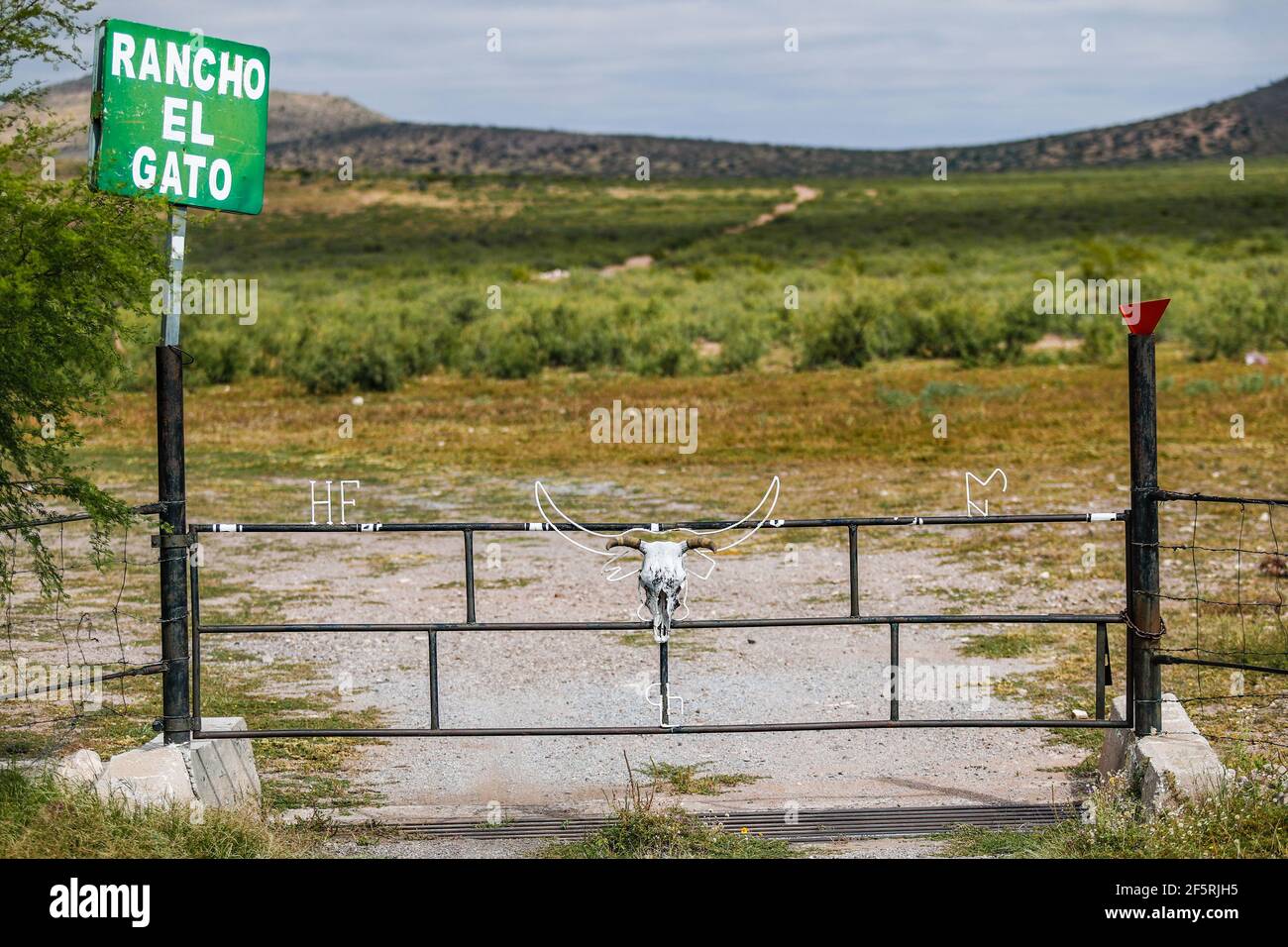 Entrance gate to the El Gato ranch in the surroundings of Janos, Chihuhua, Mexico. Green sign. metal gate, dead cow, dead bull. (Photo by Luis Gutierrez / Norte Photo)      Puerta de entrada al rancho El Gato en los alrededores de Janos, Chihuhua, Mexico. Letrero de color verde. puerta de metal , vaca muerta, toro muerto.   (Photo by Luis Gutierrez / Norte Photo) Stock Photo