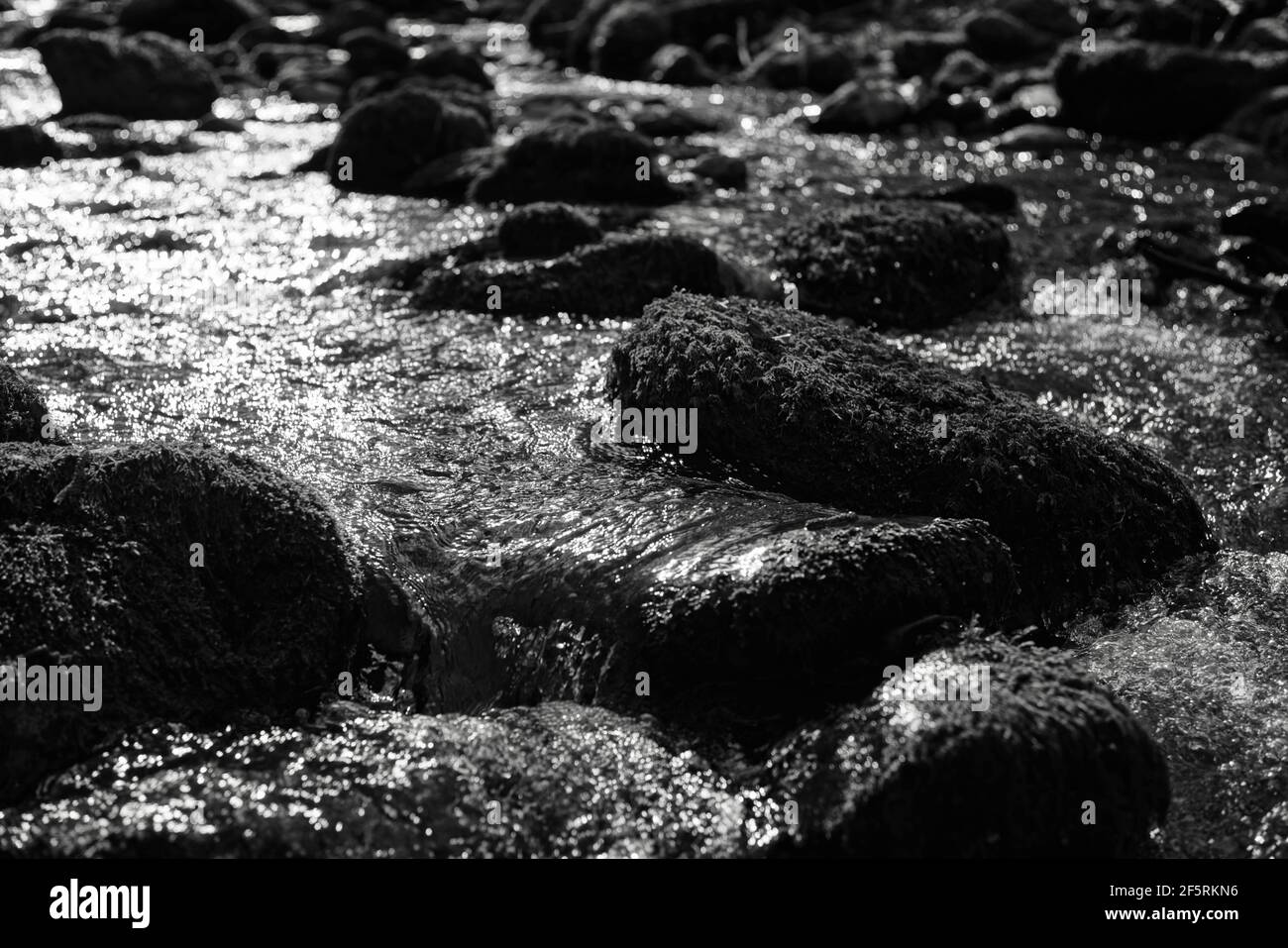 Fast and small rivulet inside the mountains is flowing over huge stones