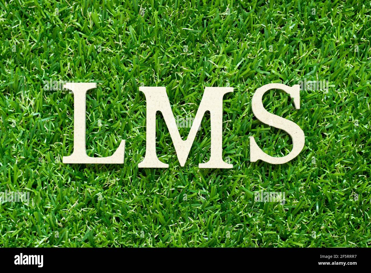 Alphabet letter in word LMS (Abbreviation of Learning management system) on  green grass background Stock Photo - Alamy