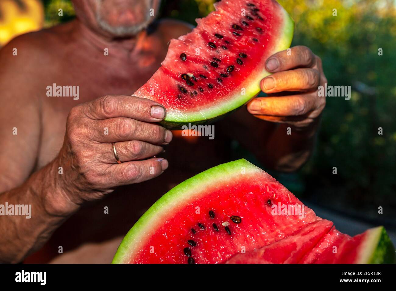 The old man enjoys watermelon . Farmer eating fresh sweet fruit  from his garden Stock Photo