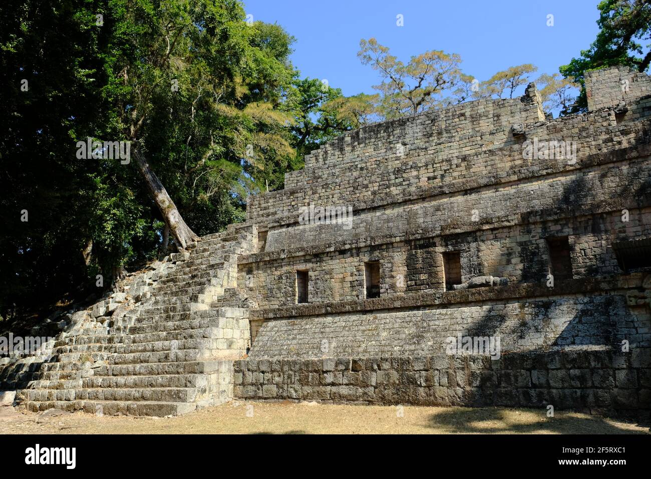 Honduras Copan  Ruinas - Ruins of Copan temple building Stock Photo