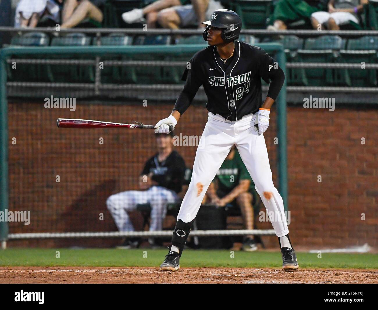 Stetson baseball 2024