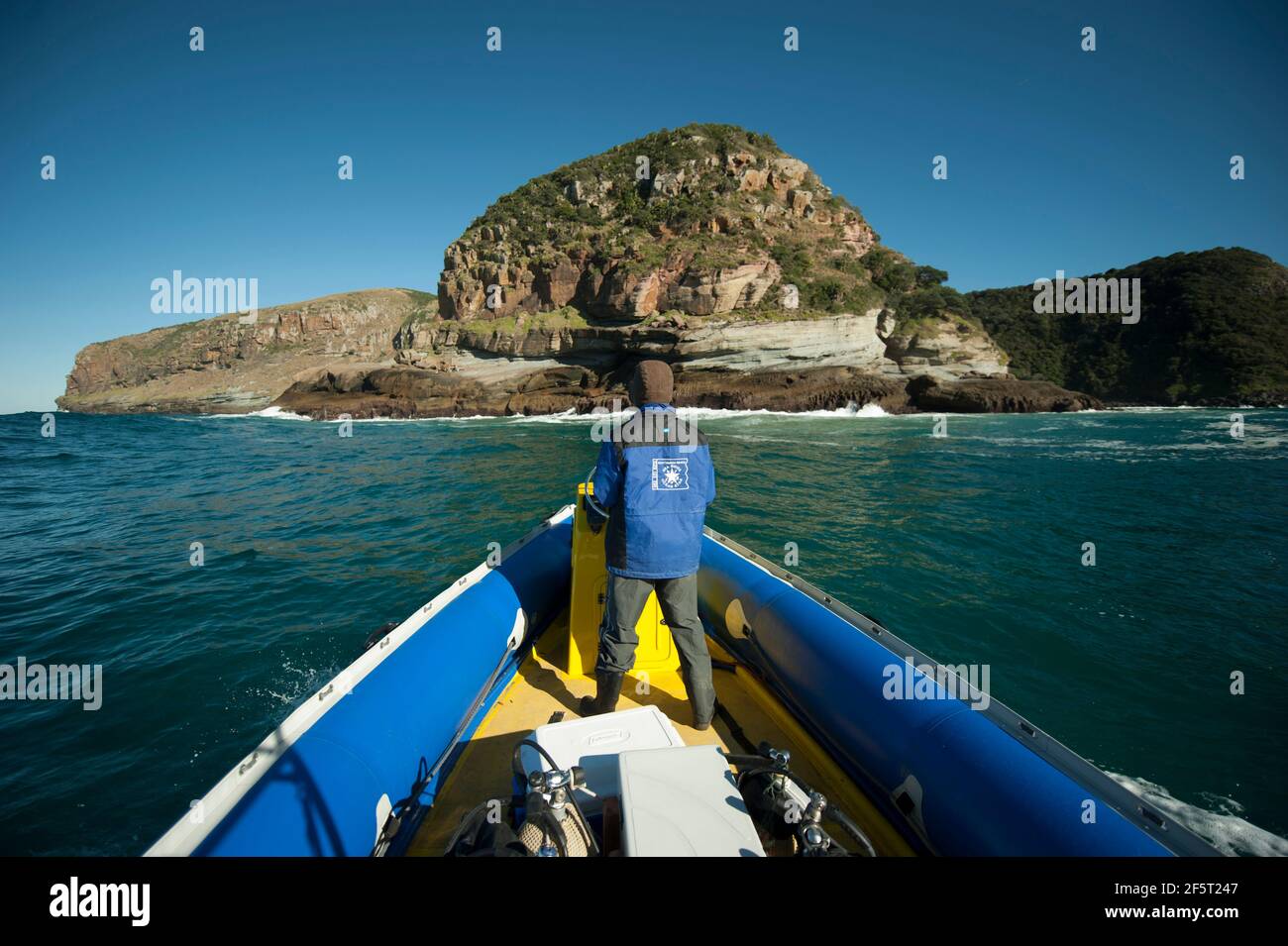 Man driving inflatable boat with diving equipment, Port St Johns, Wild