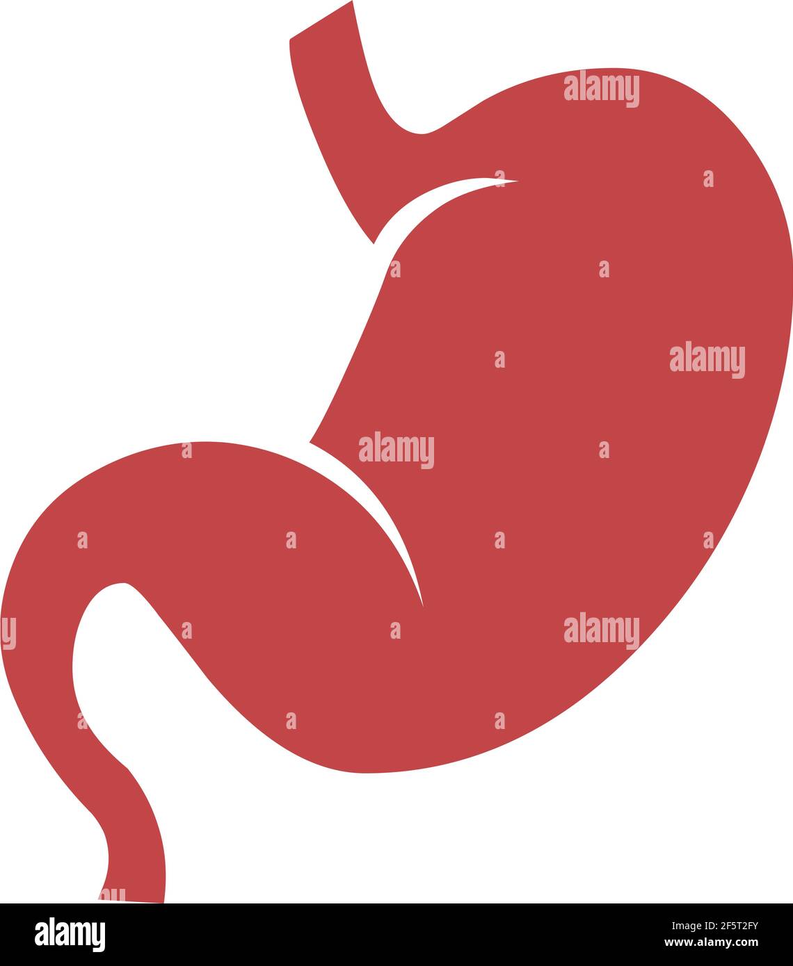 Stomach illustration logo icon vector isolated on white background Stock Vector
