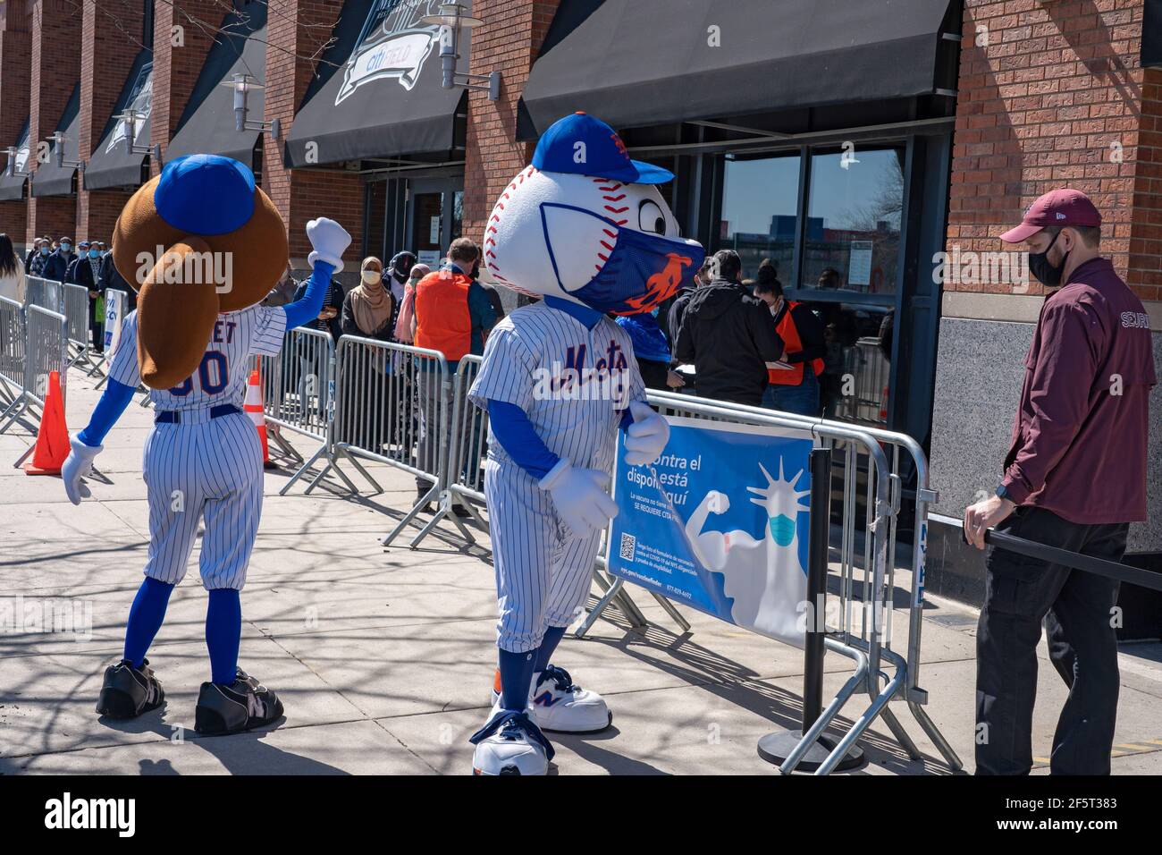 383 Yankees Mascot Stock Photos, High-Res Pictures, and Images