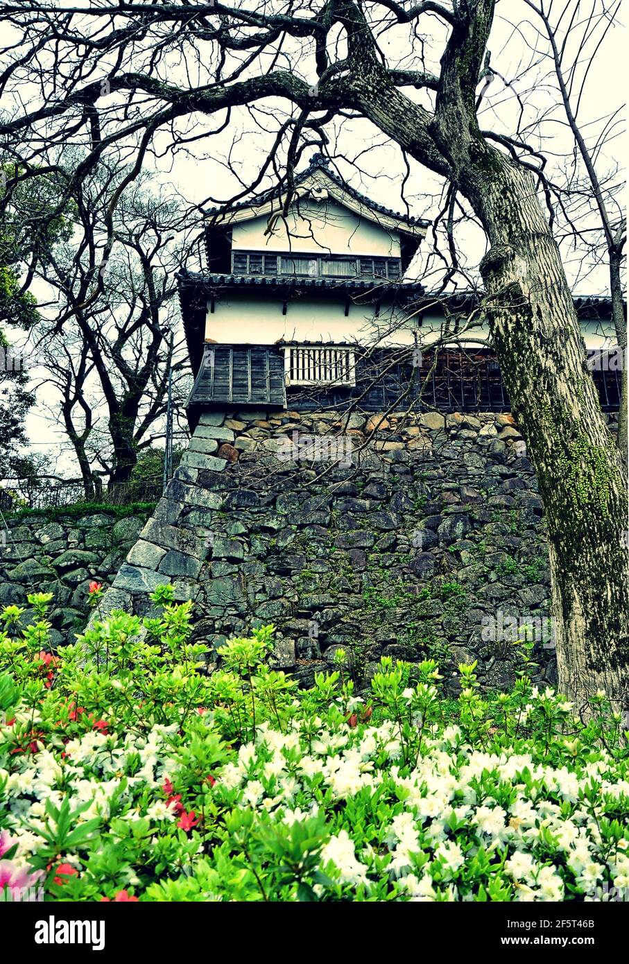 The ruins of Fukuoka Castle are located in Maizuru Park, named after the castle's alias, Maizuru Castle, built in 1603. Fukuoka, Japan, 04-07-2015 Stock Photo