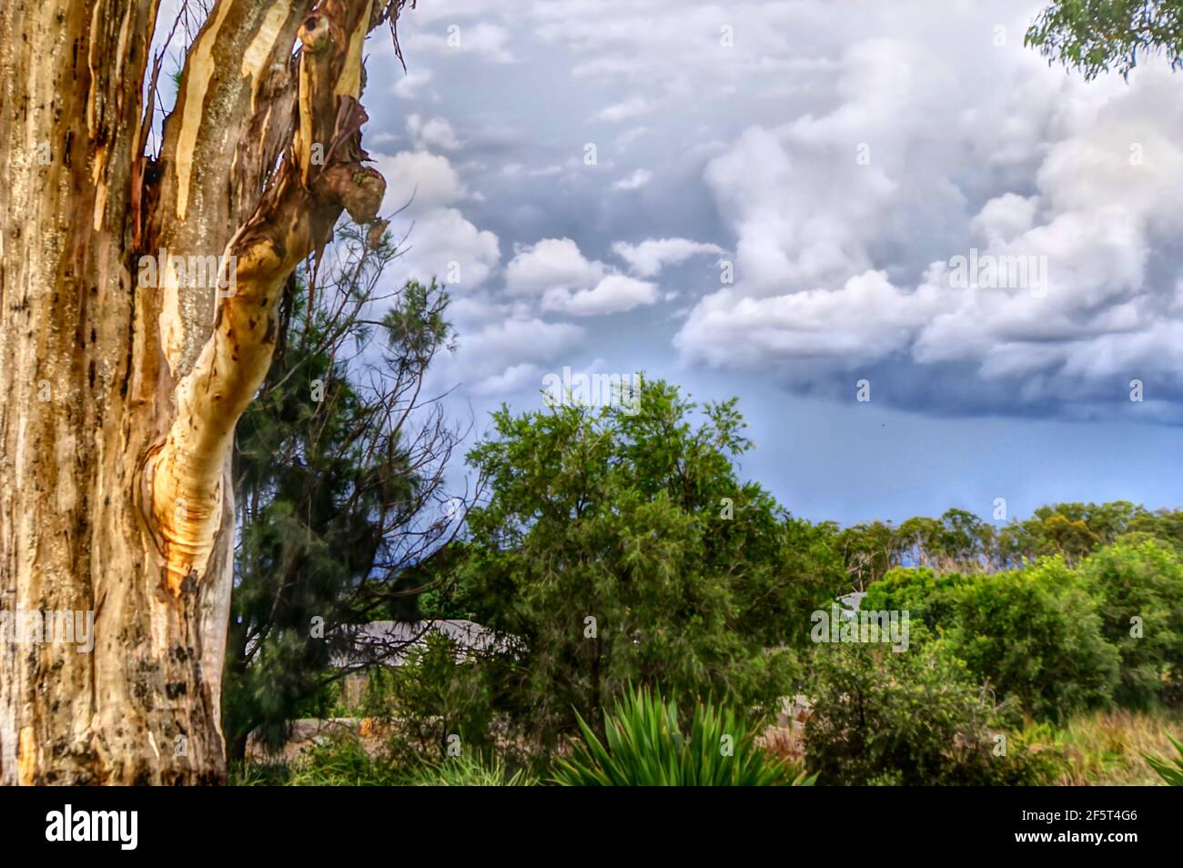 Storm clouds gather over the Bunya Mountains Stock Photo