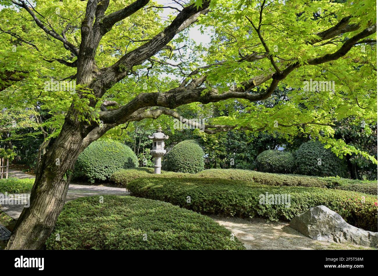Shofuen garden, Fukuoka city, Japan. Site of Shofuso, the residence of renowned Zenpachi Tanakamaru. Stock Photo