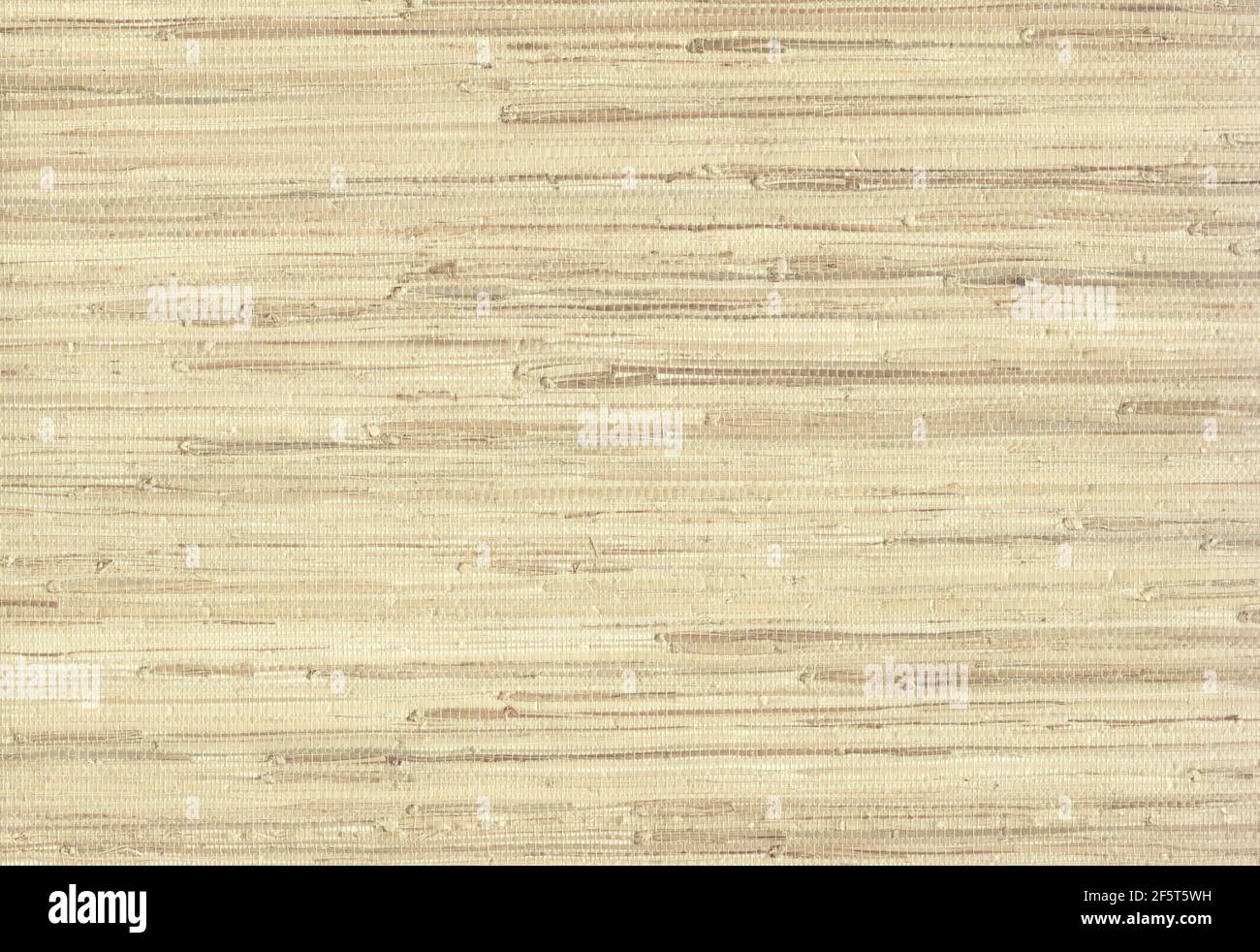 Natural grasscloth wallcovering texture. Stock Photo