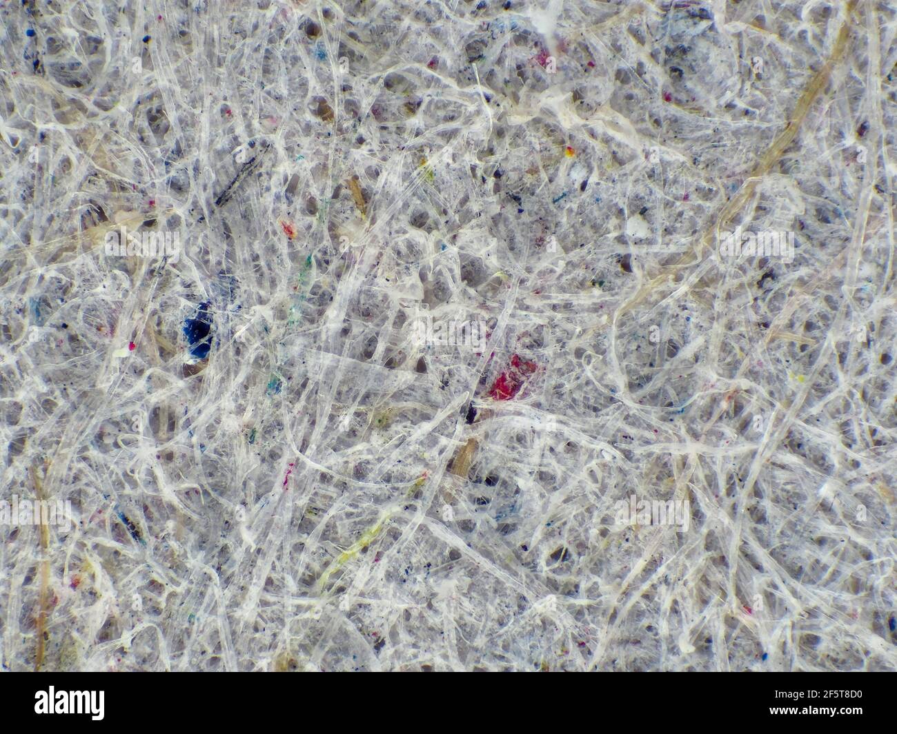 Cardboard egg carton under the microscope, horizontal filed of view is about 3mm Stock Photo