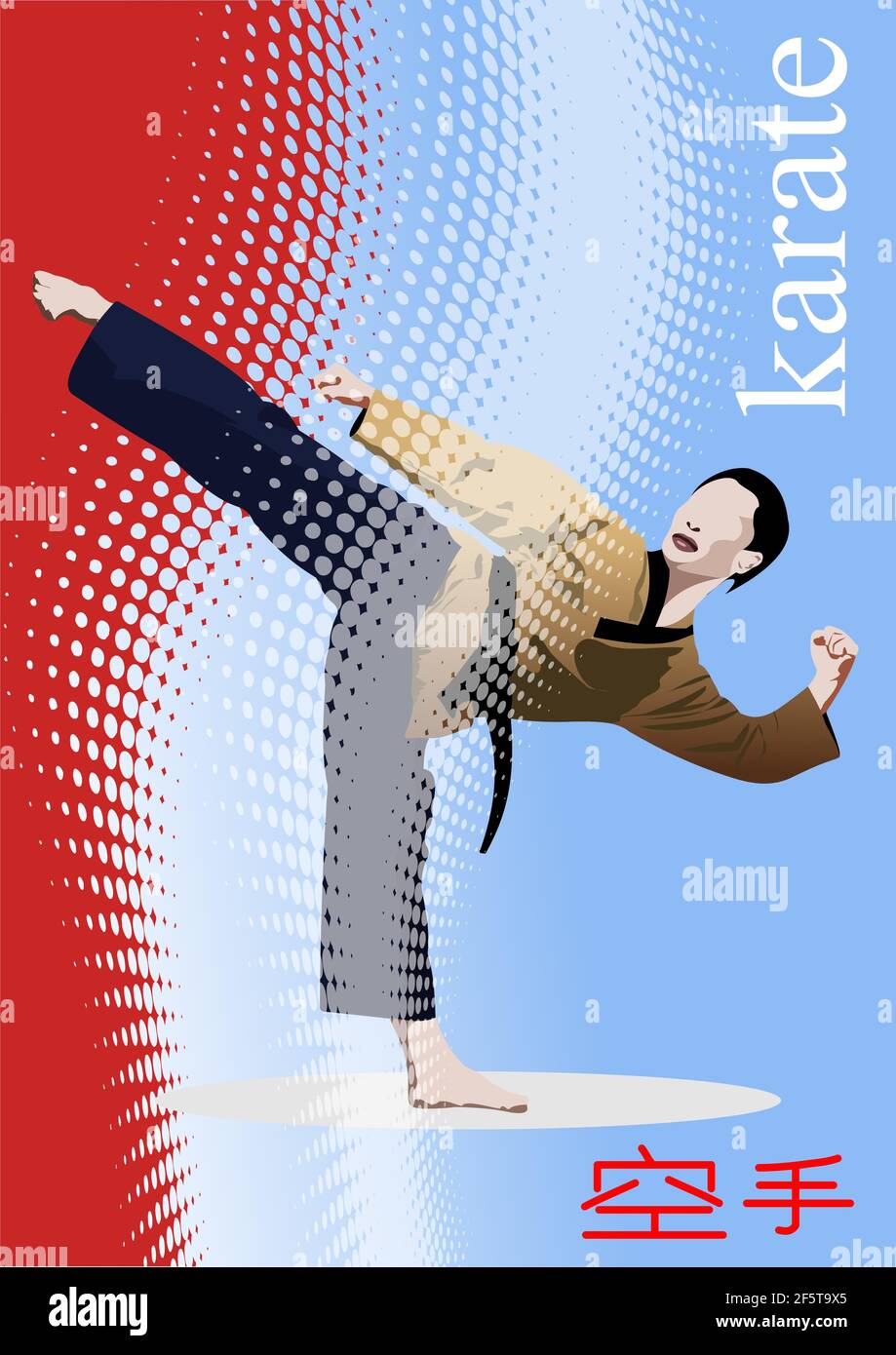 Oriental combat sports. Karate. Colored 3d vector illustration