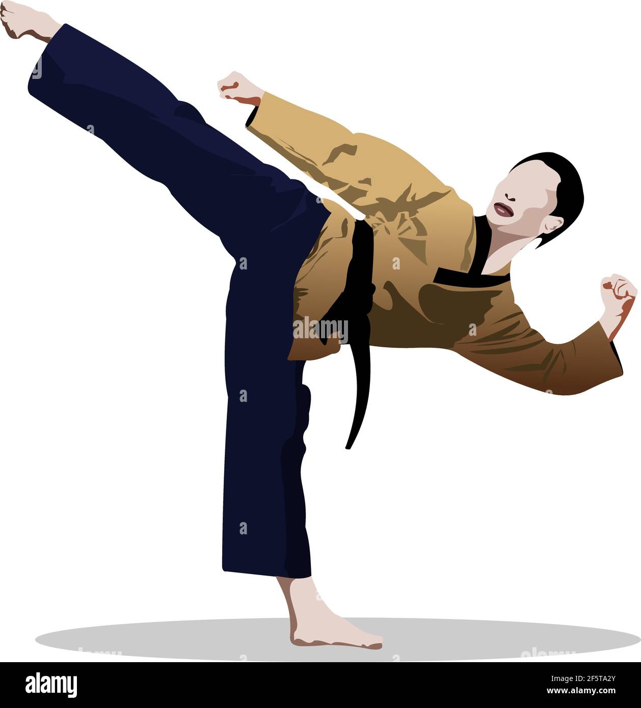 Kungfu vector vectors hi-res stock photography and images - Alamy