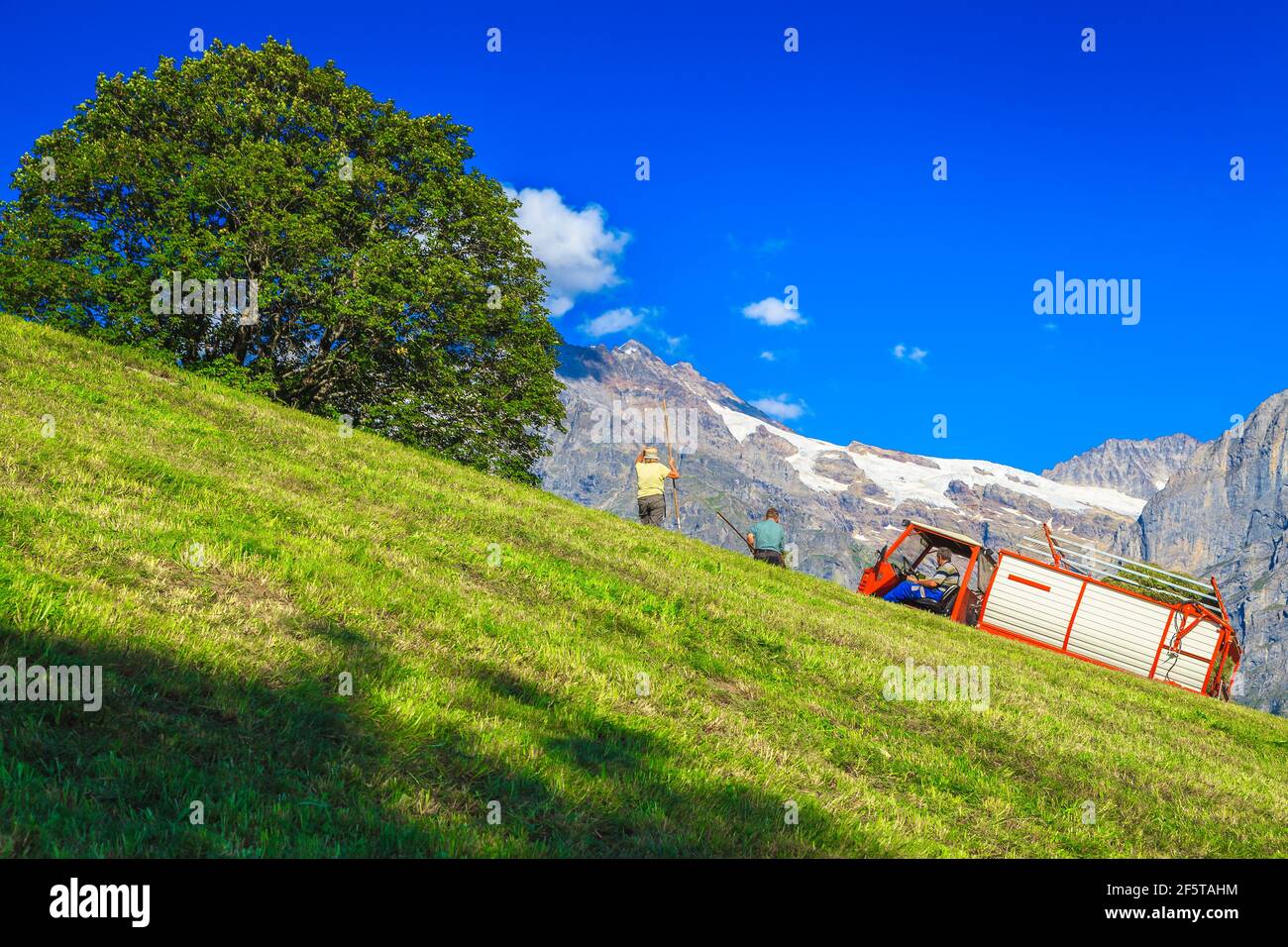 Farmers and agricultural machine collects dry hay on the alpine steep hill in Switzerland, Europe Stock Photo