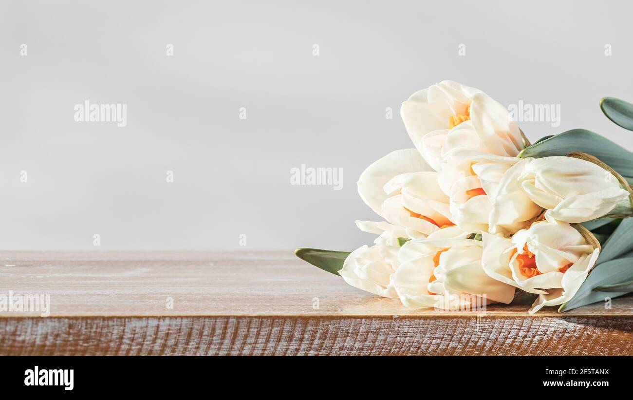 Spring daffodils flowers close-up on wooden background in morning sunlight Stock Photo