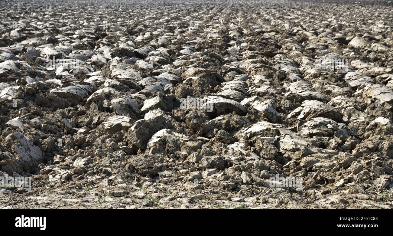 Clods of earth hi-res stock photography and images - Alamy