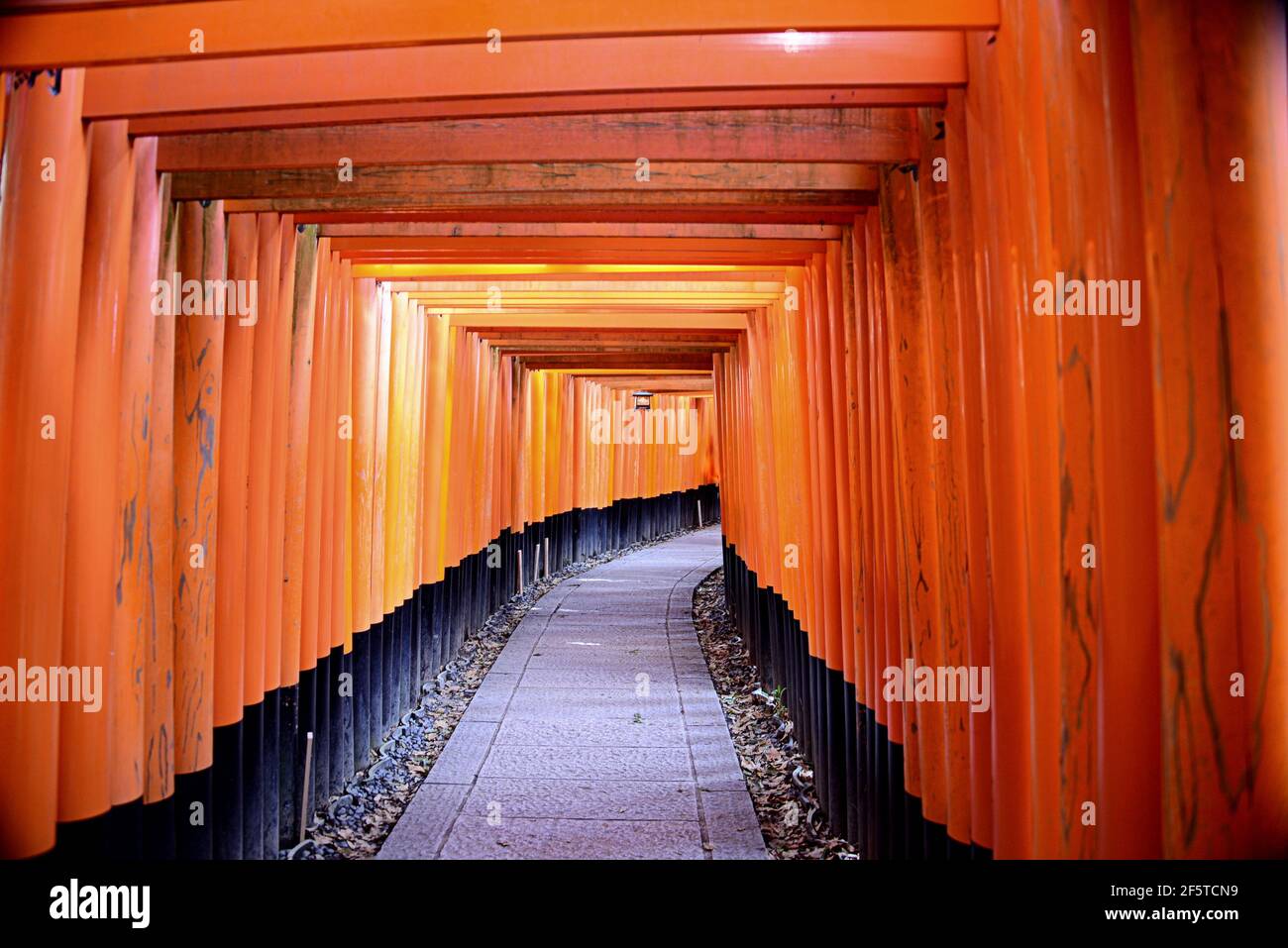 Kami Inari High Resolution Stock Photography And Images Alamy Kami Inari High Resolution Stock Photography And Images Alamy
