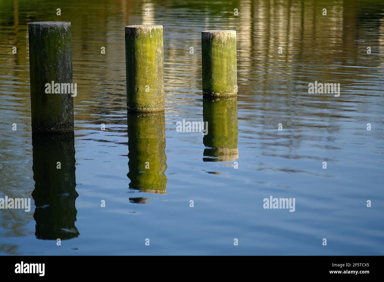Close up of water reflection of columns installed in a lake in France Stock Photo
